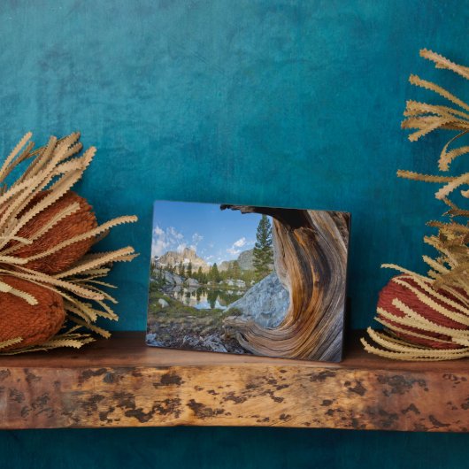 Inyo National Forest, Kalifornien Fotoplatte (Seite)