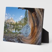 Inyo National Forest, Kalifornien Fotoplatte (Seite)