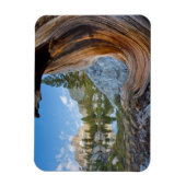 Inyo National Forest, Kalifornien Magnet (Vertikal)