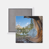 Inyo National Forest, Kalifornien Magnet (Vorderseite/Rückseite)