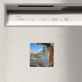 Inyo National Forest, Kalifornien Magnet (In Situ (Geschirrspüler))