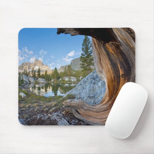 Inyo National Forest, Kalifornien Mousepad (Mit Mouse)