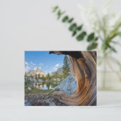 Inyo National Forest, Kalifornien Postkarte (Stehend Vorderseite)