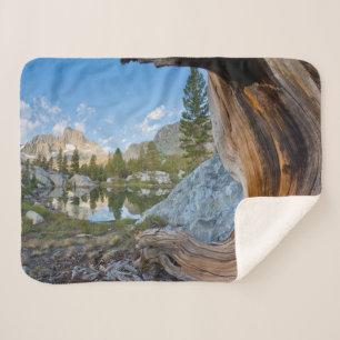 Inyo National Forest, Kalifornien Sherpadecke