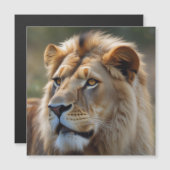 Ionenkarte Magnetkarte (Vorne/Hinten)