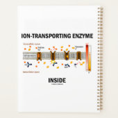 Ionentransportierungsenzym im aktiven Verkehr Planer (Rückseite)