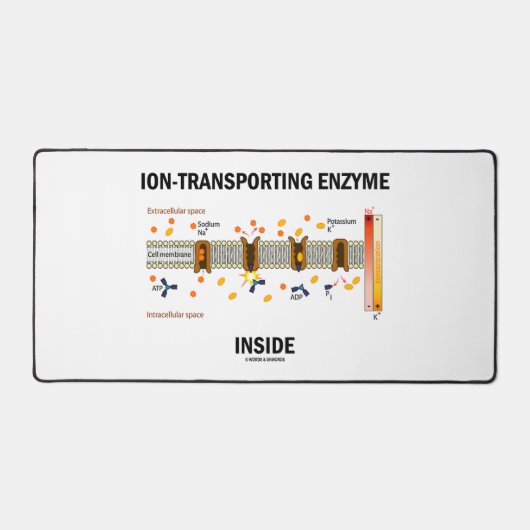 Ionentransportierungsenzym im aktiven Verkehr Schreibtischunterlage (Vorderseite)