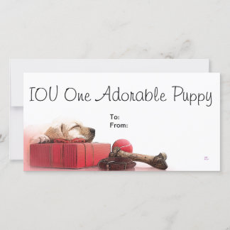 IOU 1 Adorable Puppy