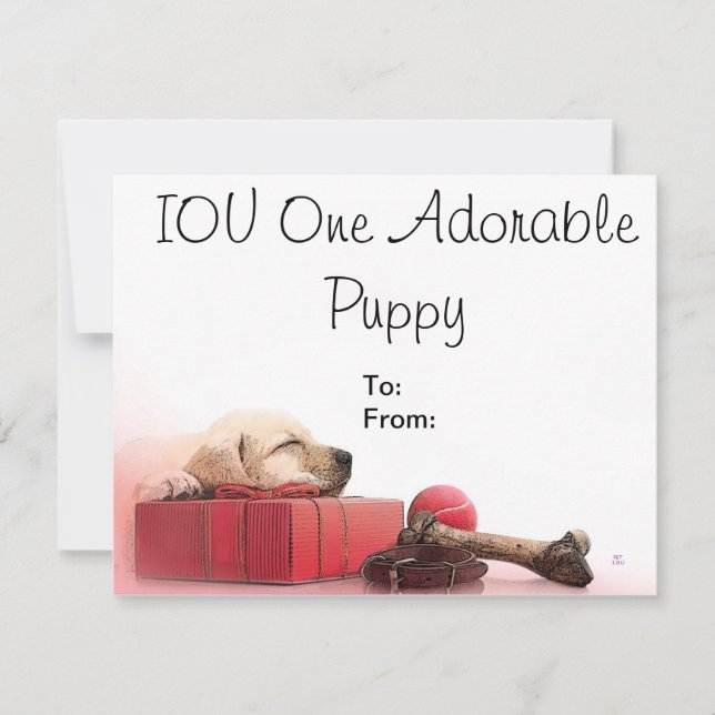 IOU 1 Adorable Puppy (Vorderseite)
