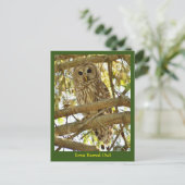 Iowa Barred Owl Postkarte (Stehend Vorderseite)