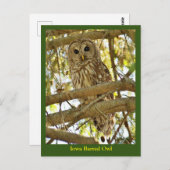 Iowa Barred Owl Postkarte (Vorne/Hinten)