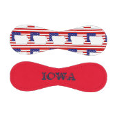 IOWA BASEBALL (Paneele)