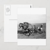 Iowa Corn Planter, 40er Postkarte (Vorne/Hinten)