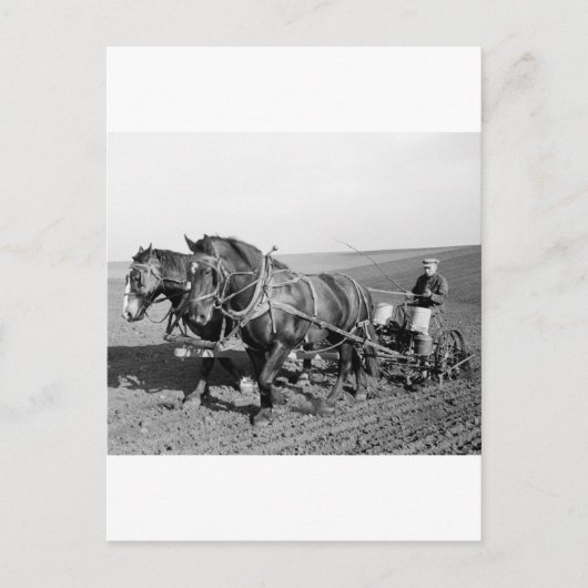 Iowa Corn Planter, 40er Postkarte (Vorderseite)