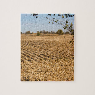 Iowa Cornfield Panorama Foto Puzzle