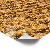 Iowa Cornfield Panorama Foto v3 Poster (Ecke)