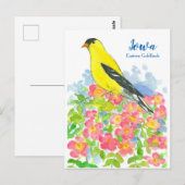 Iowa Eastern Goldfinch Pink Wilde Rose Postkarte (Vorne/Hinten)
