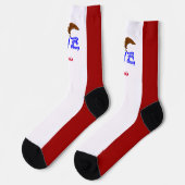 Iowa-Flagge Socken (Linkes Detail)