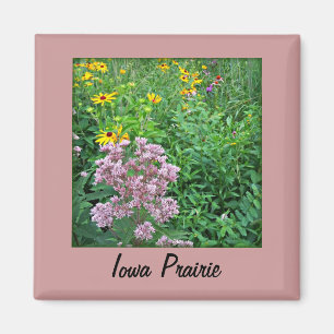 Iowa-Grasland Magnet