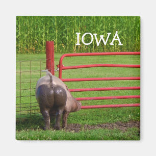 Iowa-Magnet Magnet
