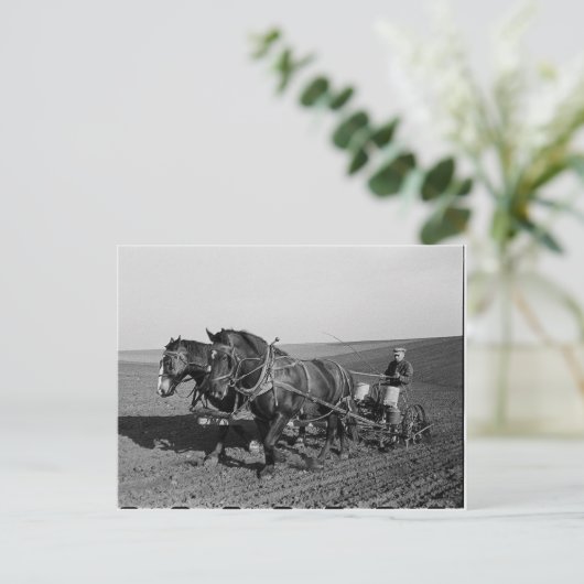 Iowa Maispflanzung Postkarte (Stehend Vorderseite)