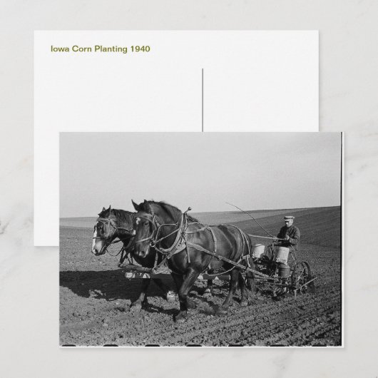Iowa Maispflanzung Postkarte (Vorne/Hinten)