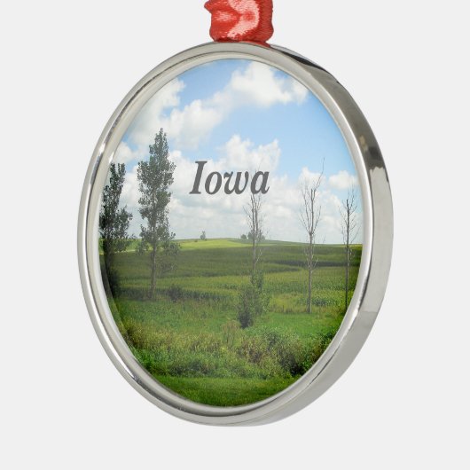 Iowa Ornament Aus Metall (Links)