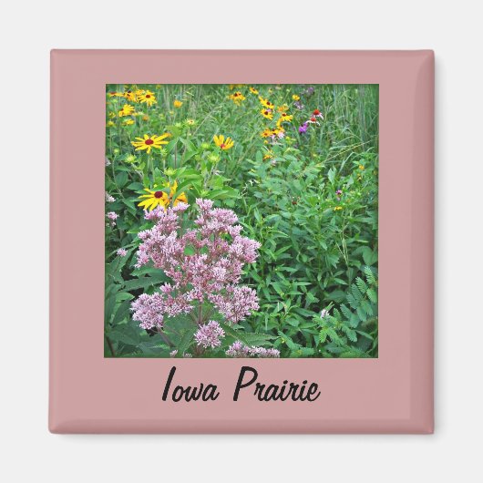 Iowa Prairie Magnet (Vorne)