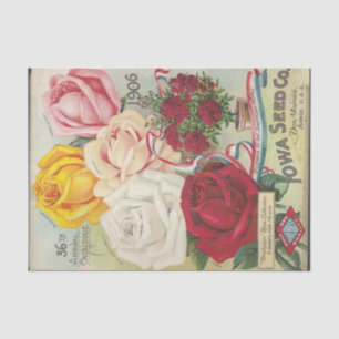 Iowa Seed Co, 1904, Rose Vintager Katalog Seidenpapier