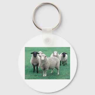 Iowa Sheep Schlüsselanhänger