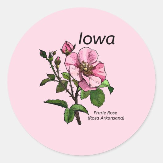 Iowa Staat Blume Sticker (Vorderseite)