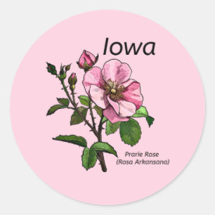 Iowa Staat Blume Sticker