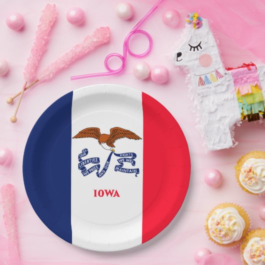 Iowa State Flag Design Pappteller (Party)