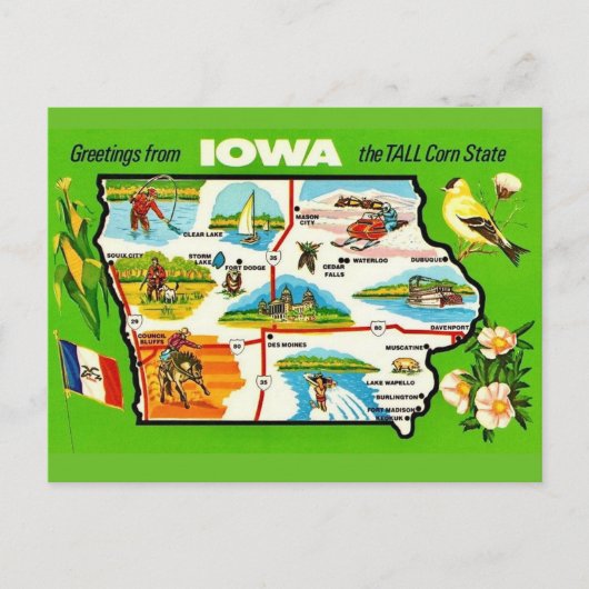 Iowa - Tall Corn State Postkarte (Vorderseite)