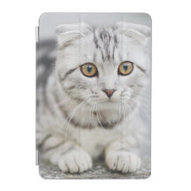  iPad 7.9" Smart Cover