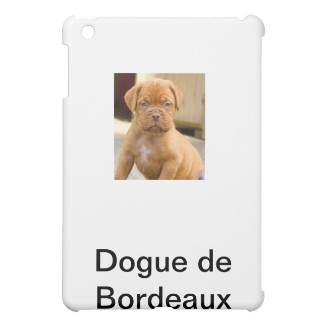 IPAD FALL *** MINI HÜLLE (Hinten)