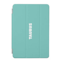 iPad Smart Cover