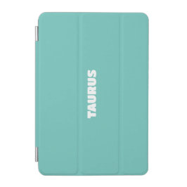 iPad Smart Cover