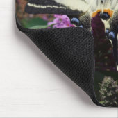 Iphiclides podalirius mousepad (Ecke)
