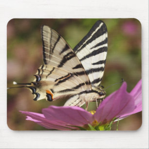 Iphiclides podalirius mousepad
