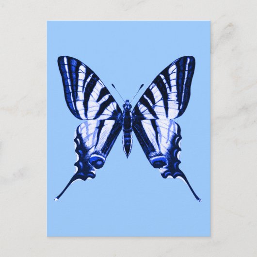 Iphiclides podalirius Postkarte (Vorderseite)