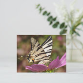 Iphiclides podalirius postkarte (Stehend Vorderseite)