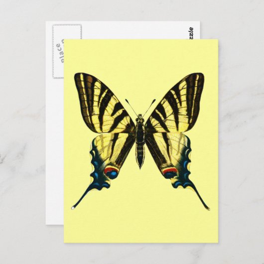 Iphiclides podalirius Postkarte (Vorne/Hinten)