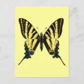 Iphiclides podalirius Postkarte (Vorderseite)