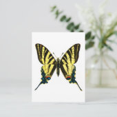 Iphiclides podalirius postkarte (Stehend Vorderseite)