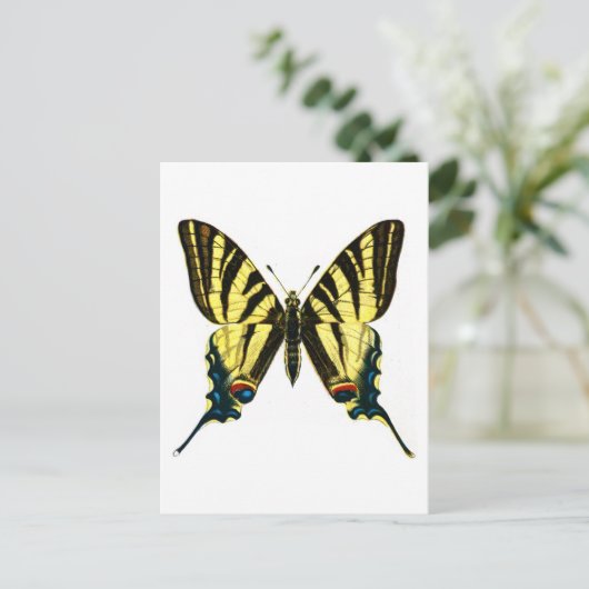 Iphiclides podalirius postkarte (Stehend Vorderseite)