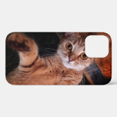 iphone12 pro Hüllen ...cat (Rückseite (Horizontal))