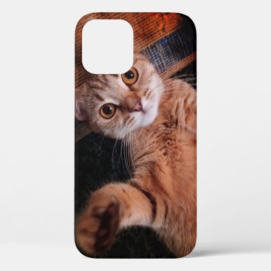 iphone12 pro Hüllen ...cat (Rückseite)