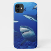 iPhone 11 Case-Sharks Case-Mate iPhone Hülle (Rückseite)