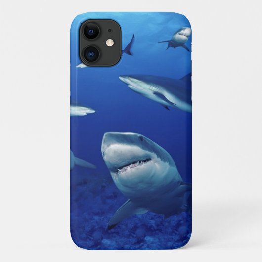 iPhone 11 Case-Sharks Case-Mate iPhone Hülle (Rückseite)